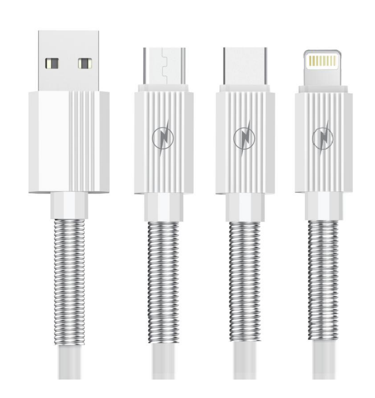 Charging Cable C1